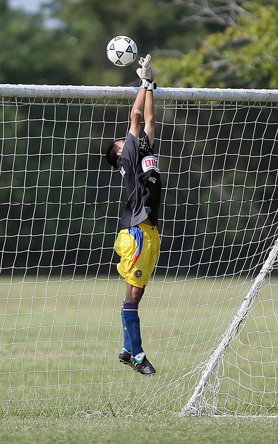 而篮球迷们 而篮球迷们