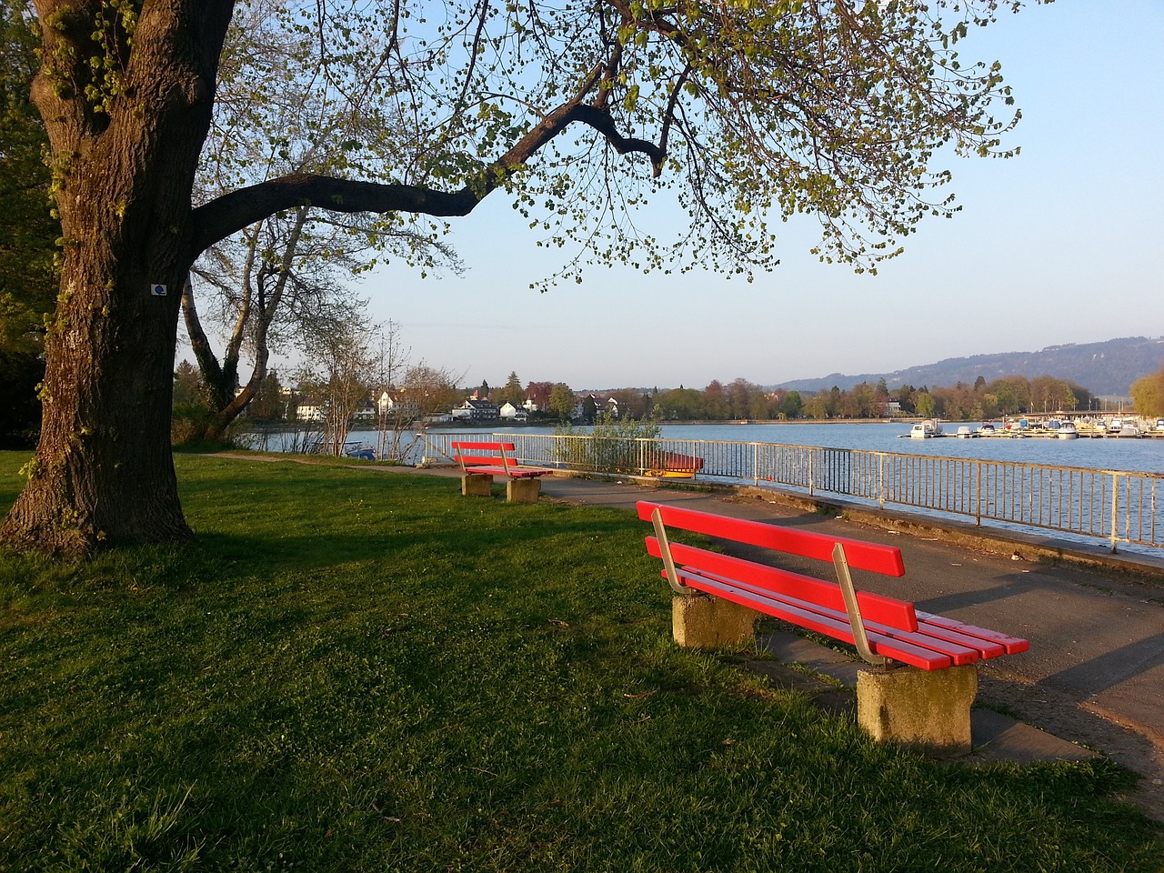 传奇射手哈 传奇射手哈