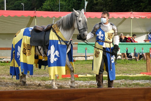 性与竞争性 性与竞争性