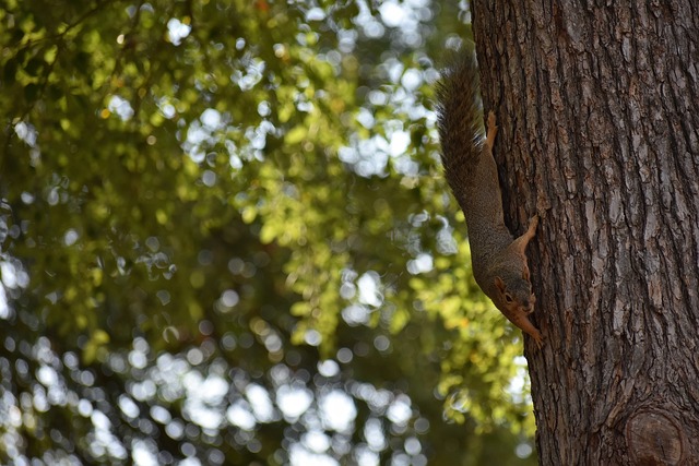 王曼昱3日载誉回哈尔滨.